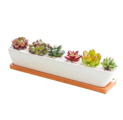 Succulent Planter Pot - 11''