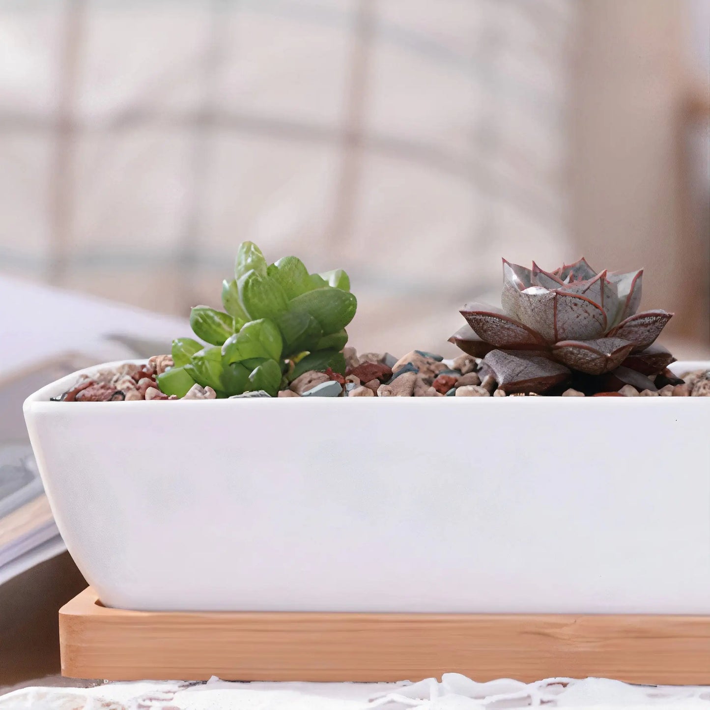 Succulent Planter Pot - 11''